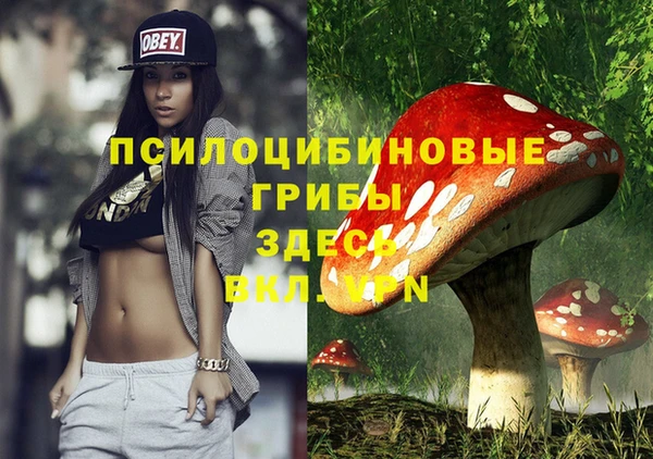 первитин Осташков