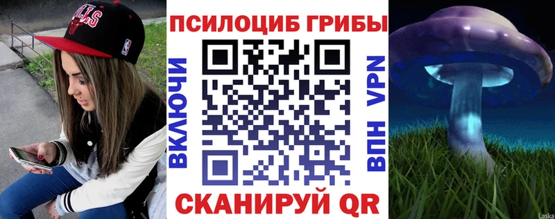 Галлюциногенные грибы Psilocybe дарнет шоп Новоалександровск