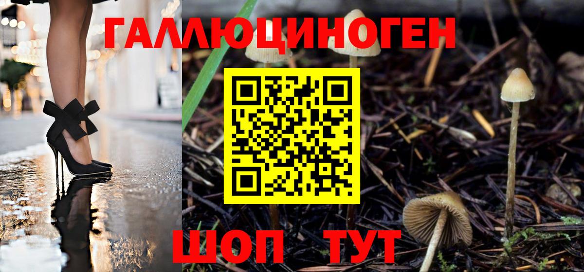 Галлюциногенные грибы Cubensis Новоалександровск